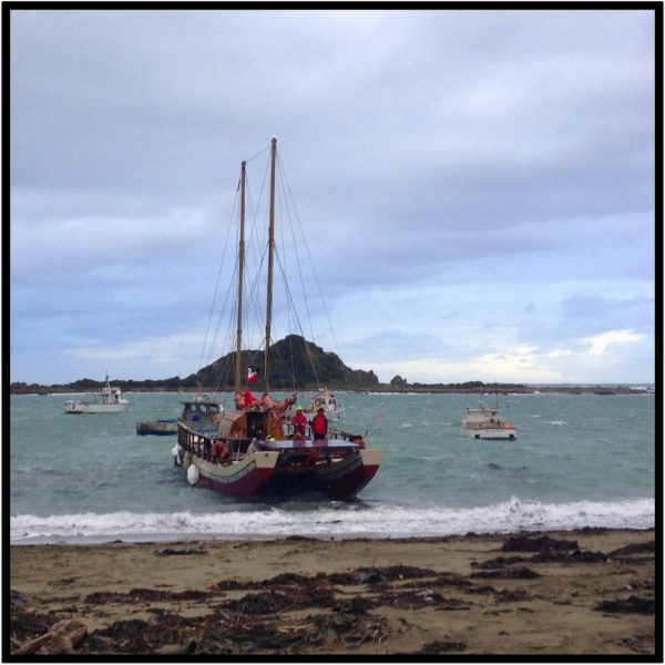 Waka in Island Bay 5 June