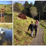 Country Kids go to Brick Bay Vineyard Sculpture Trail!