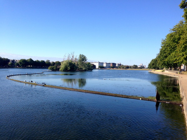 BIRD REFUGES