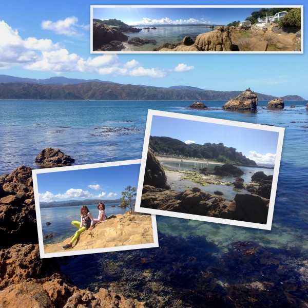 Scorching Bay, Wellington
