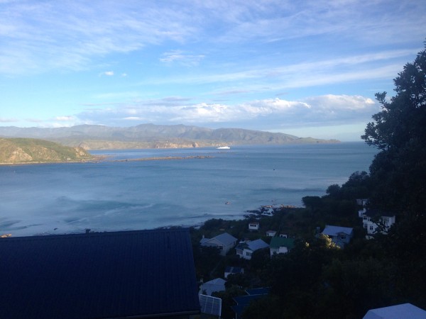 Views on Wellington's south coast!