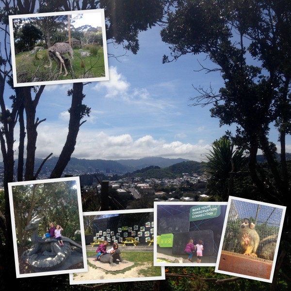 Wellington Zoo