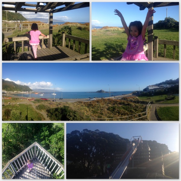 Shoreline Park & Playground, Island Bay, Wellington