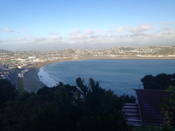 Lyall Bay