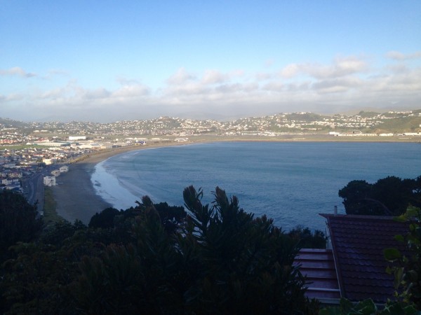 Lyall Bay