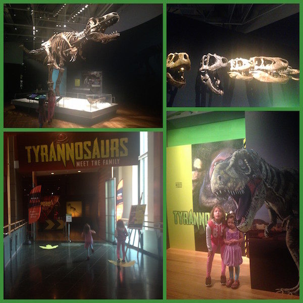 T-Rex exhibition