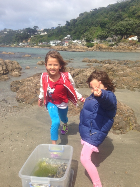 Rock pooling