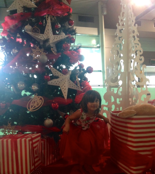 Pohutukawa fairy at Wellington airport