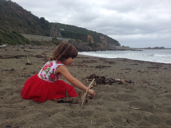 Pohutukawa fairy at the beach