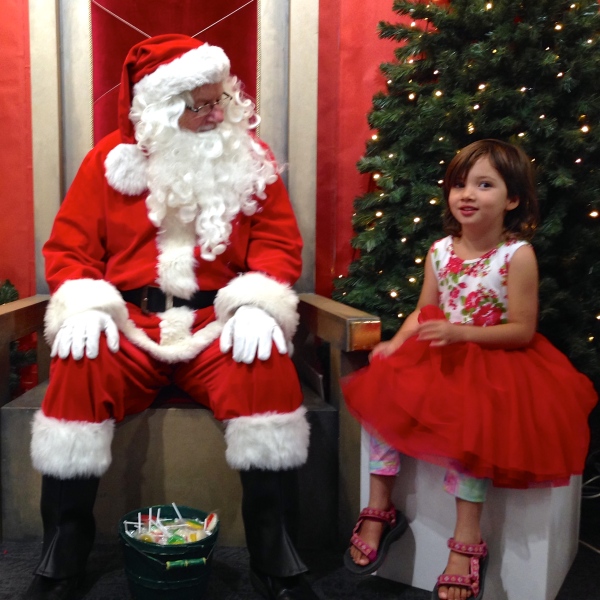Pohutukawa fairy meets Santa