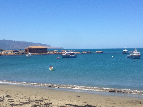 Dan taking the children and their friends out on the kayak in Island Bay