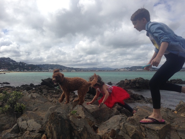 Exploring Welly's southcoast & geocaching