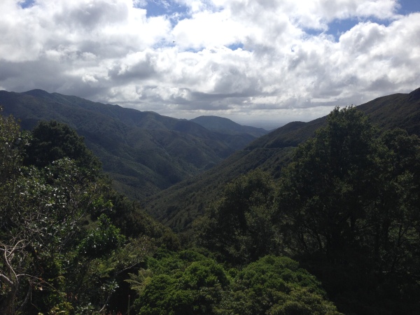 Rimutaka Hill Road summit towards the Wairarapa