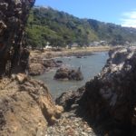 Rock scrambling in Wellington with Monsieur Cocoa