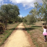 Outdoor loves from Martinborough