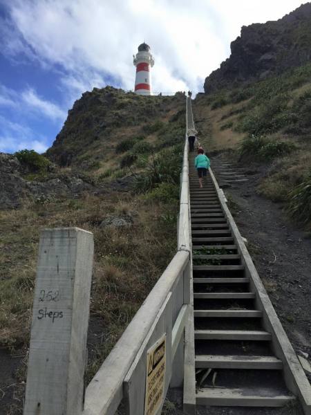 Climbing the steps to Cape Palliser lighthouse