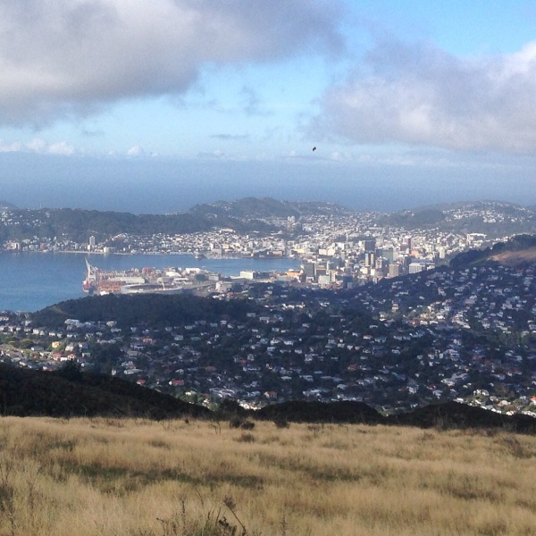 Looking down on Wellington city from Mt Kau Kau