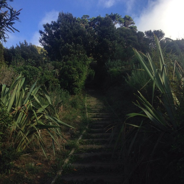 Mt Kau Kau