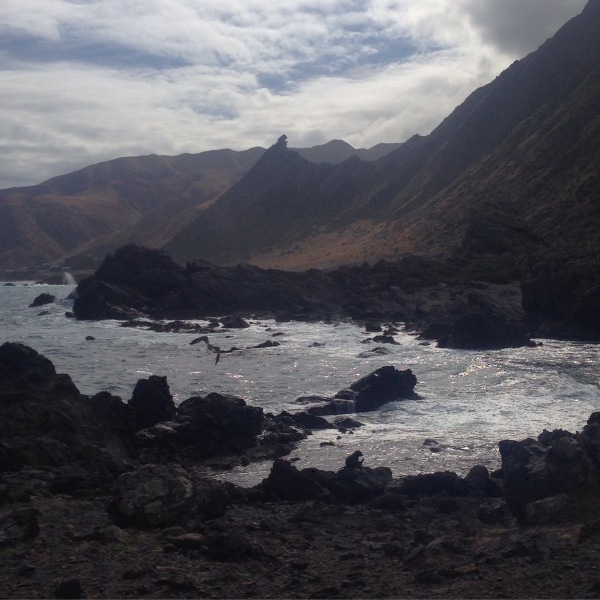 South Wairarapa coast