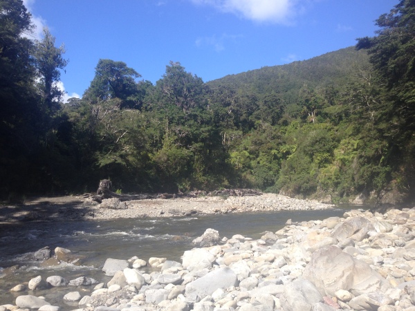 Kaitoke Regional Park