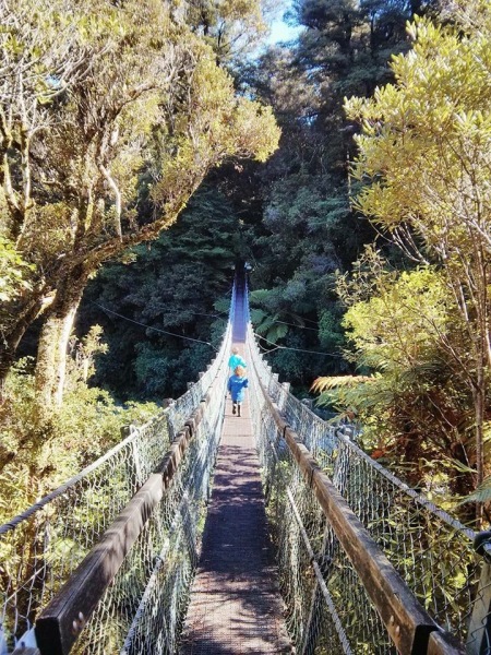 Swing bridge Kaitoke