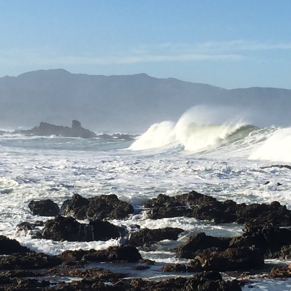 Waves on Wellington's south coast