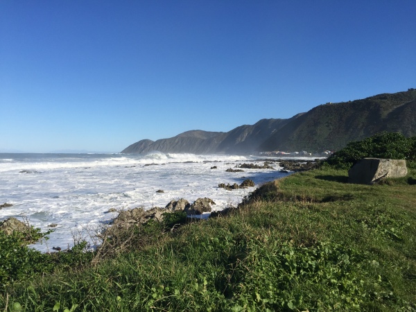 Owhiro Bay and South Coast of Wellington