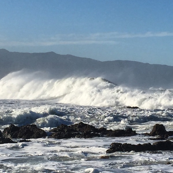 Waves rolling into Houghton Bay, Wellington, May 2015