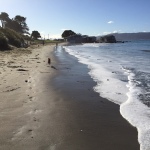 Winter fun on Wellington’s south coast