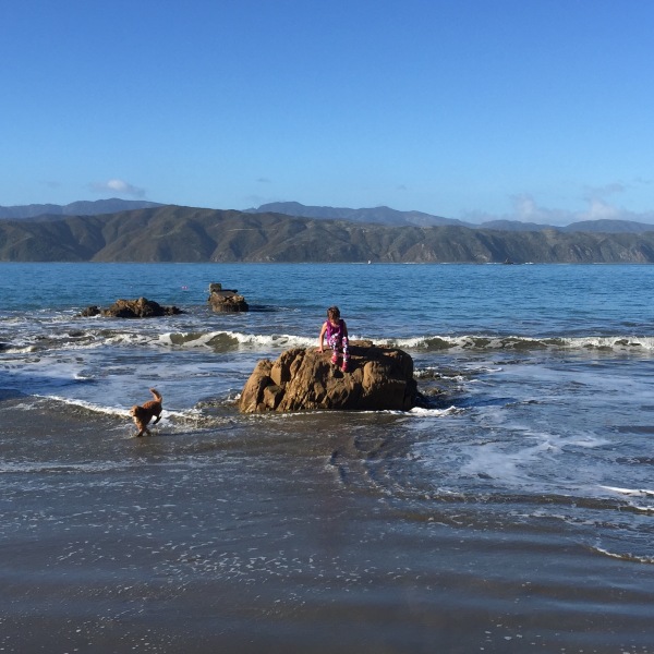 Sophie and Cocoa, the Cavoodle, at Worser Bay, Wellington, New Zealand on a beautiful winter's day.