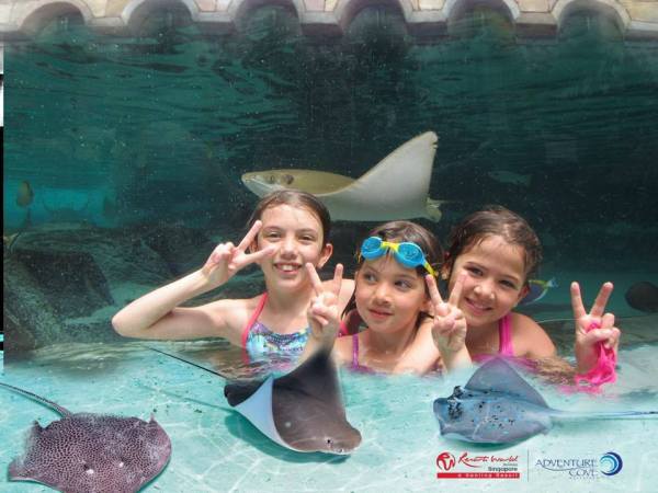 Taken on the adventure river, Adventure Cove, Sentosa Island.