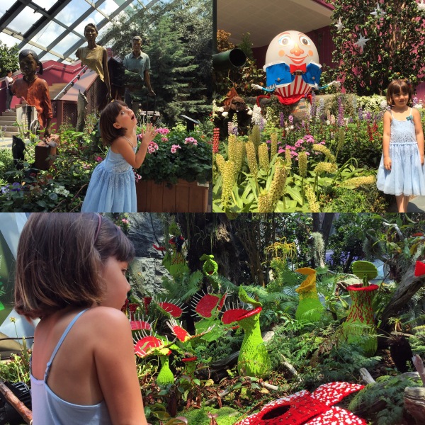 Inside the 'Flower Dome'.