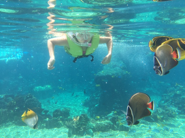 Snorkelling with tropical fish at Adventure Cove, Sentosa Island