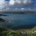 Snapshots from runs on Wellington’s Walkways