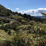 Rotorua Skyline Gondola & thrills