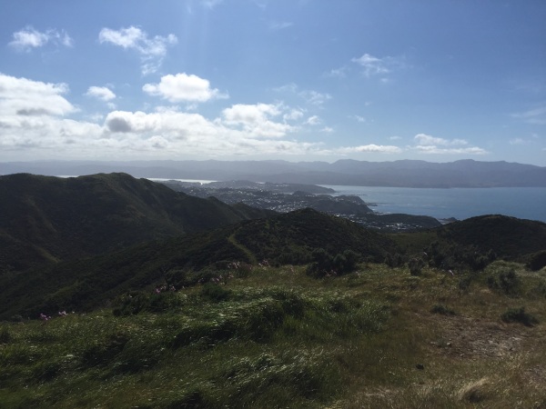 Amazing view over the south coast.