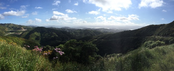 View of Wellington and its surrounds from the south coast hills.