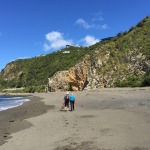 Oruaiti Reserve, Wellington | Where history & coastal reserve meet