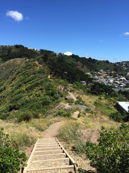 Oruaiti Reserve, Wellington