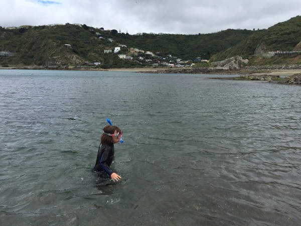 Snorkelling 