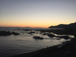 IMG_2319