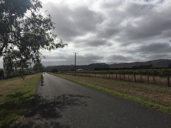 Cycling the quiet, country roads of Martinborough.