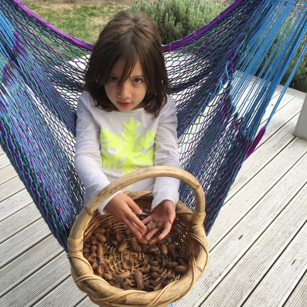 Alice happy in the hammock, in Martinborough, counting her hoard of acorns!