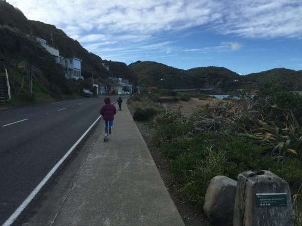 Scooting along by Island Bay, on Wellington's South Coast