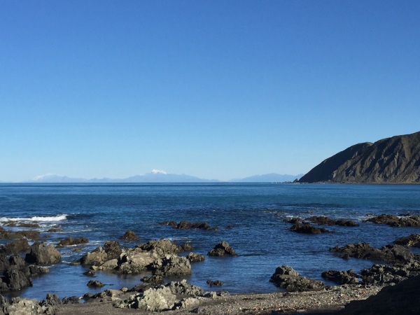 Red Rocks, South Coast, Wellington