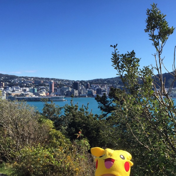 The city of Wellington, from the vantage point of the town belt tracks of Roseneath above Oriental Parade.