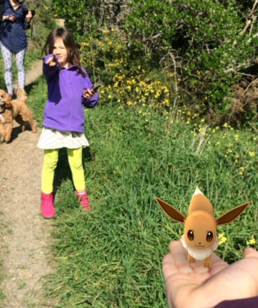 Hey look, an Eevee!