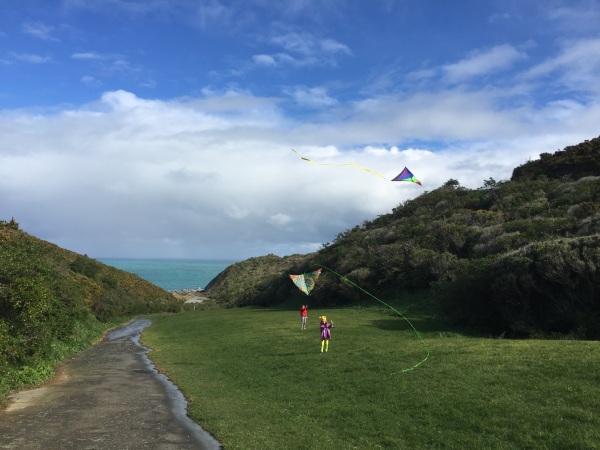 Kite flying at Ataturk Park