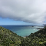 Walking the headland reserve of Te Raikaihau Point