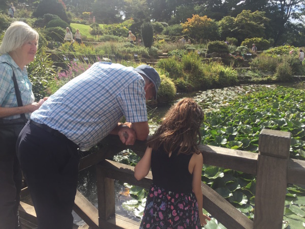 Observing the fish at Wisley Gardens.